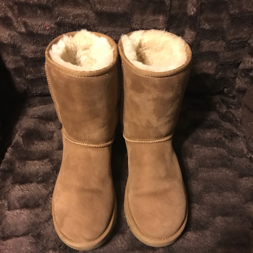‼️Sold‼️UGG CLASIC SHORT BOOTS SIZE 8 - Picture 1 of 6